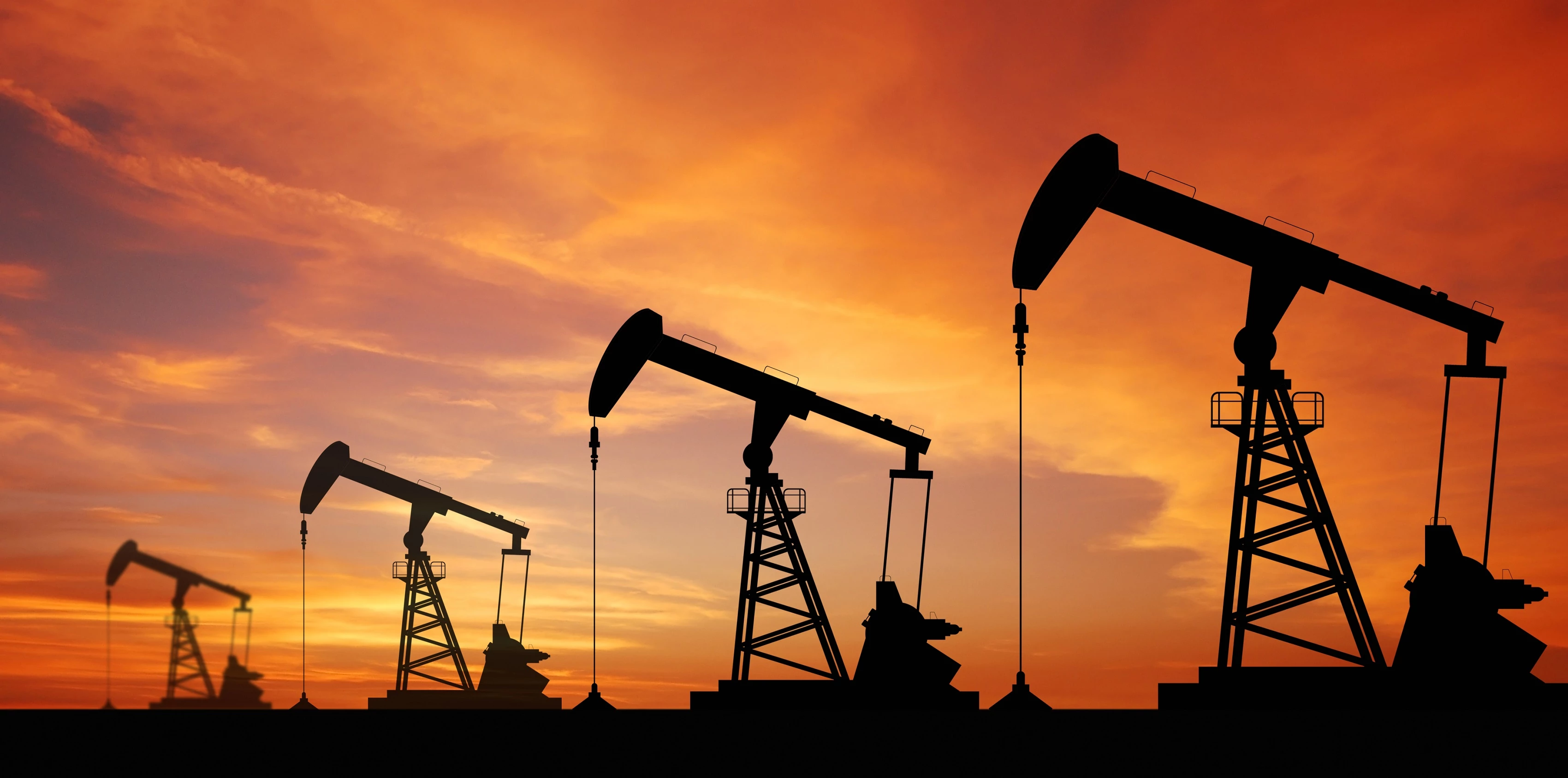 Oil & Gas ERP